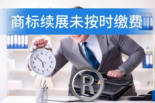 商標(biāo)到期未進(jìn)行續(xù)展，商標(biāo)持有人還可以繼續(xù)使用嗎？